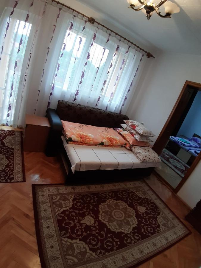 Pensiunea Covaciu Vadu Izei Exterior photo